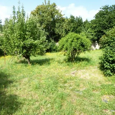 Maison Calme Avec Grand Terrain, Proche Commodites Et Sites Medievaux - Fr-1-582-133 Allegre