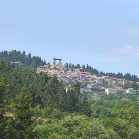 Maison Calme Avec Grand Terrain, Proche Commodites Et Sites Medievaux - Fr-1-582-133 Allegre